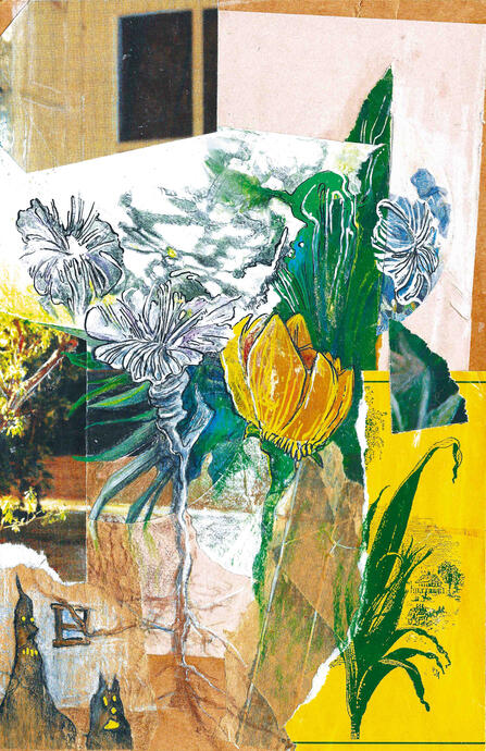 Quiddity Collective: "Flora"